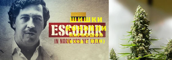 гашик Балахна